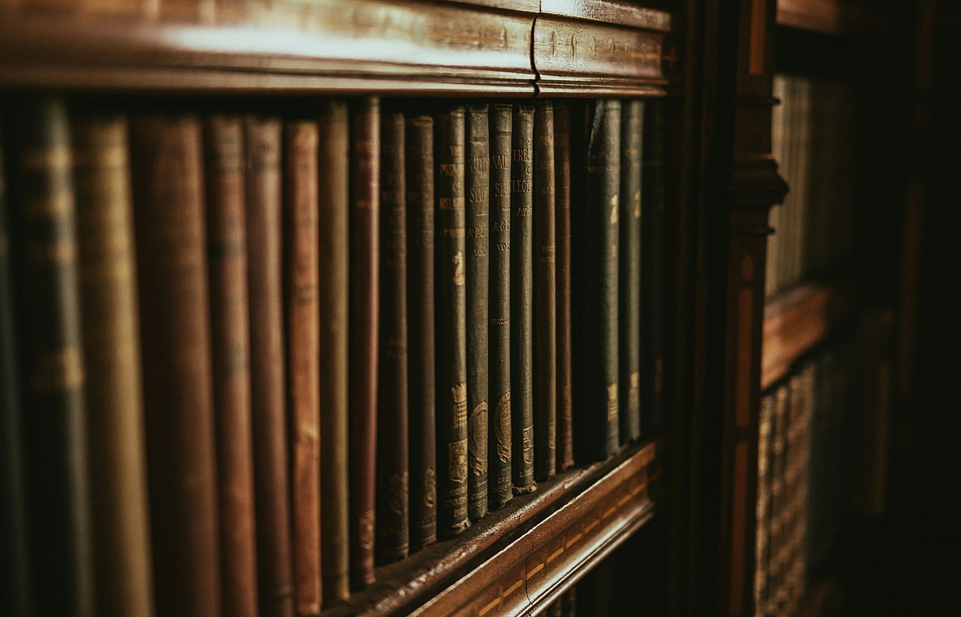  mario klassen dYswqbzvopw unsplash  