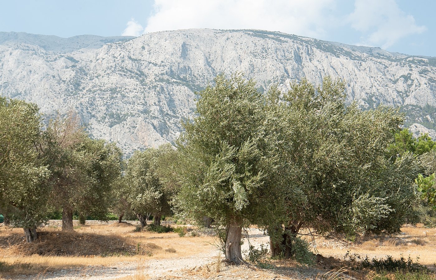  Financial Times: The reopening of the American mind_Samos 