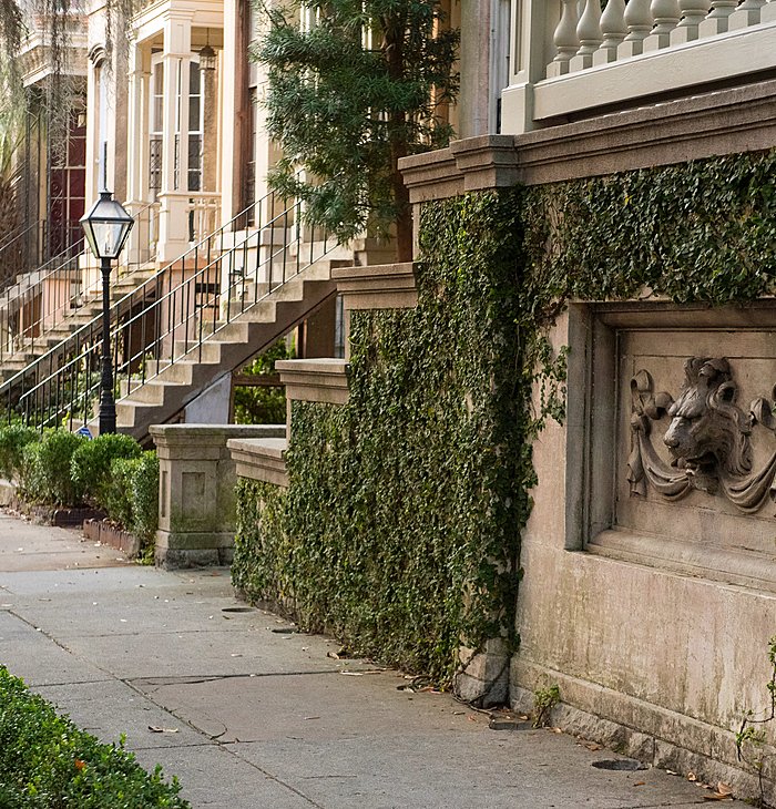  SAVANNAH FOR NICOLE 2 SAVANNAH FOR NICOLE B 0010  