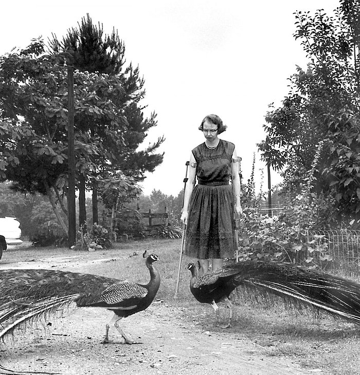  01 Flannery JoeMcTyre scaled 1 1536x1186  