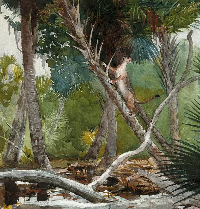  BWHH SophiaLectures NewItem  