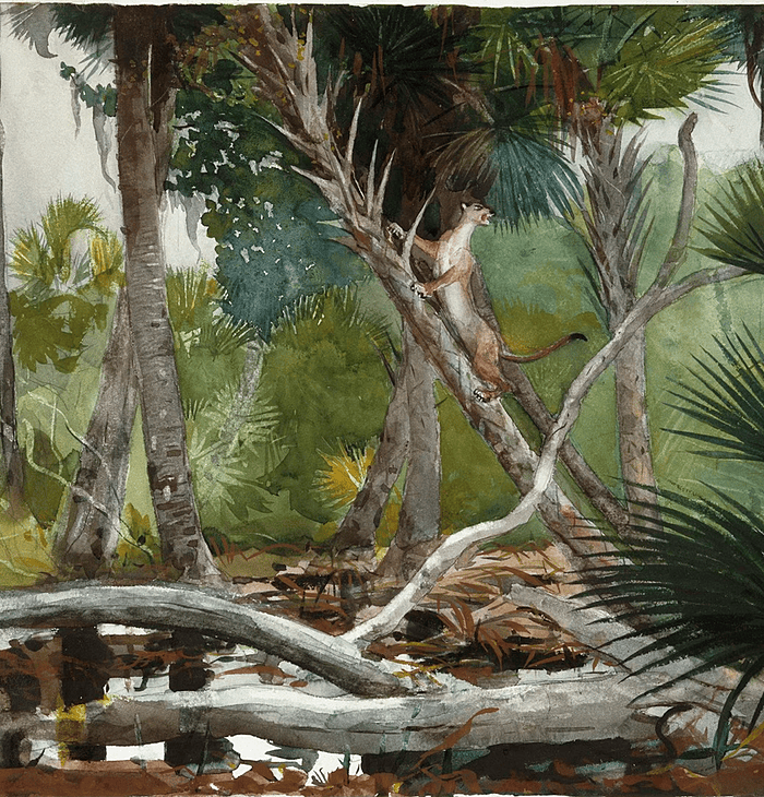  Screen Shot 2025 02 23 at 6 57 36 PM  