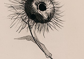 Daouda Baudelaire Thumbnail