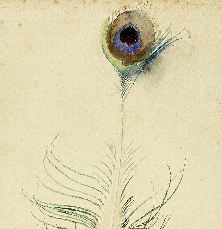 1942 189 Peacock Feather